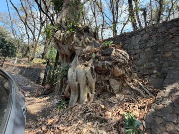 place photo 28