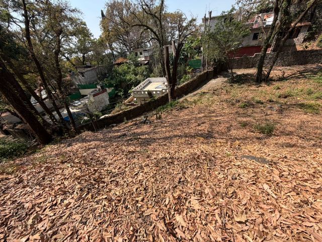place photo 39
