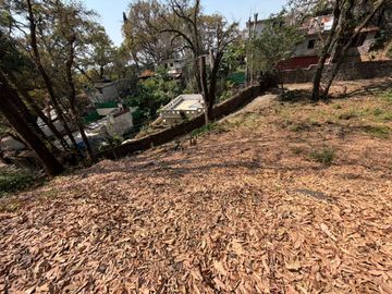 place photo 39