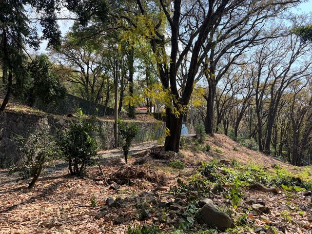 place photo 36