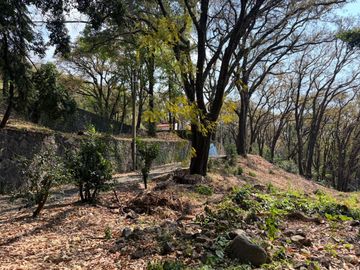 place photo 36