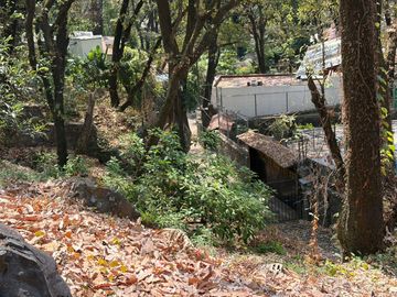 place photo 32