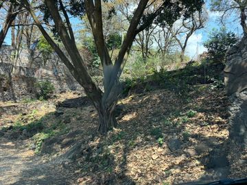place photo 40