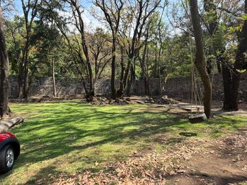 place photo 35