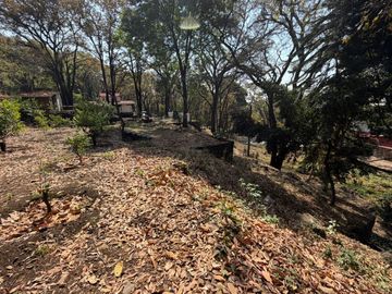 place photo 41