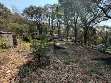place photo 42