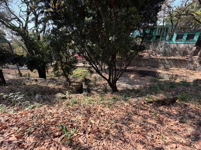 place photo 25