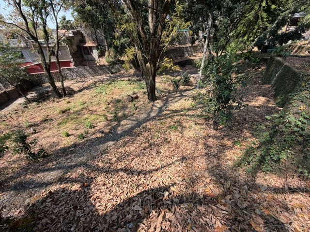 place photo 22