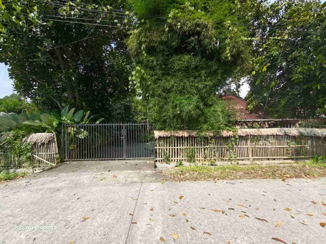 place photo 8