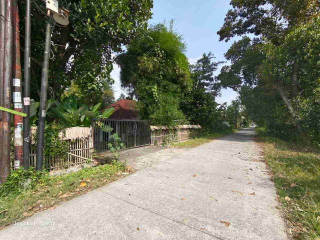 place photo 23
