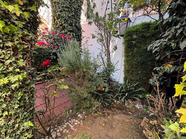 place photo 25