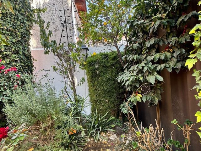 place photo 49