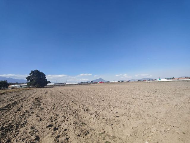 place photo 40