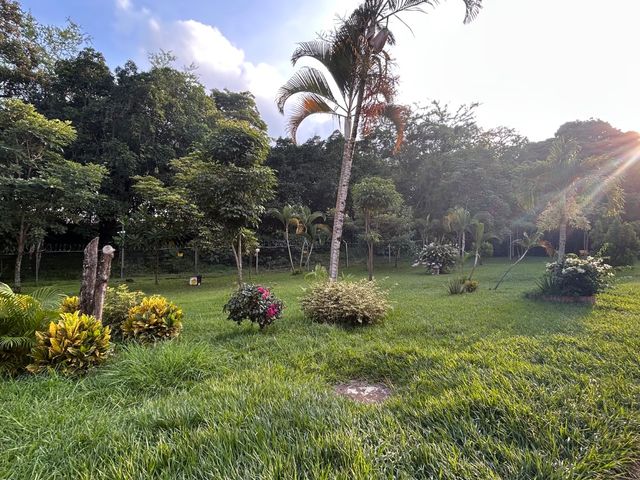 place photo 29