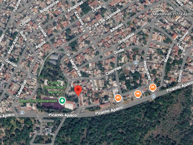 place photo 15