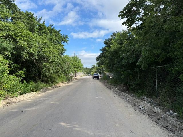 place photo 6