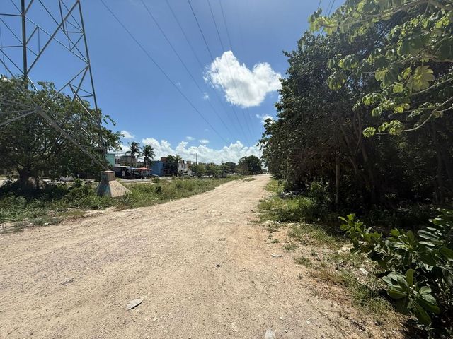 place photo 7