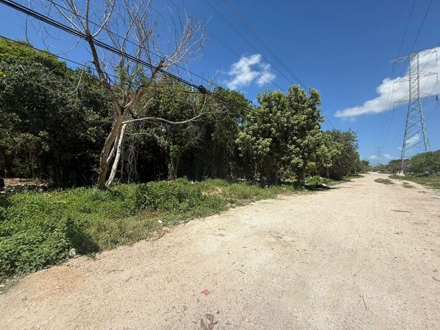 place photo 6