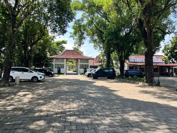 place photo 19