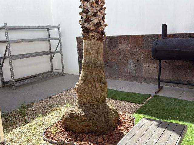 place photo 33
