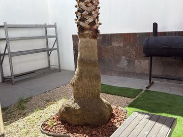 place photo 33