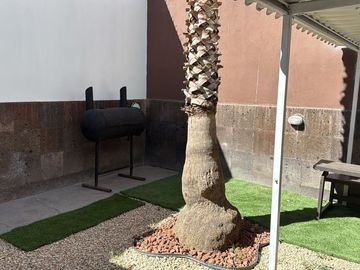 place photo 34