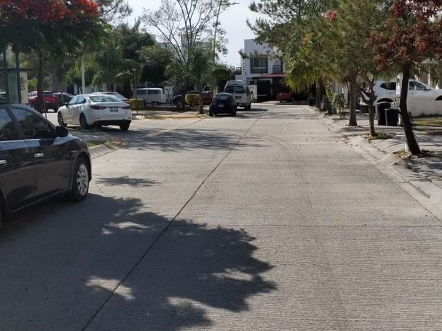 place photo 19