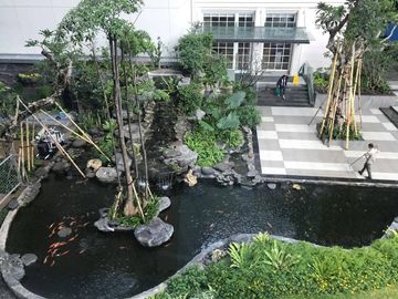 place photo 22