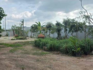 place photo 40