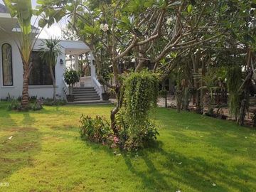 place photo 43