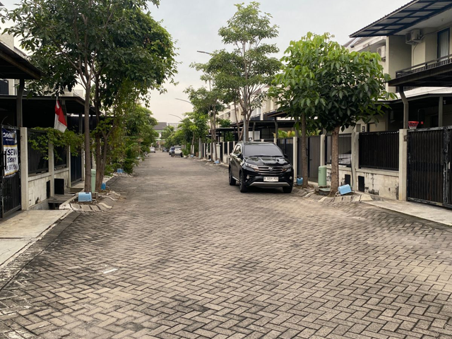 place photo 11