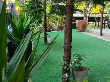 place photo 33