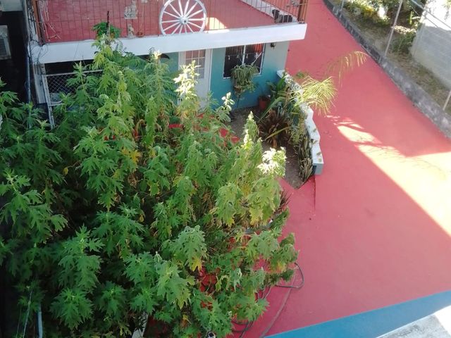 place photo 26