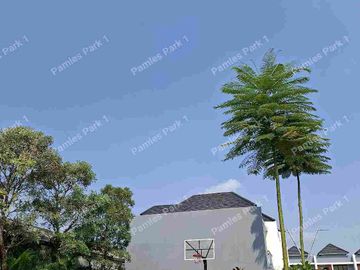 place photo 18