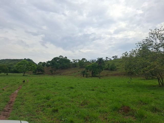 place photo 28