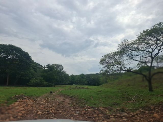 place photo 30