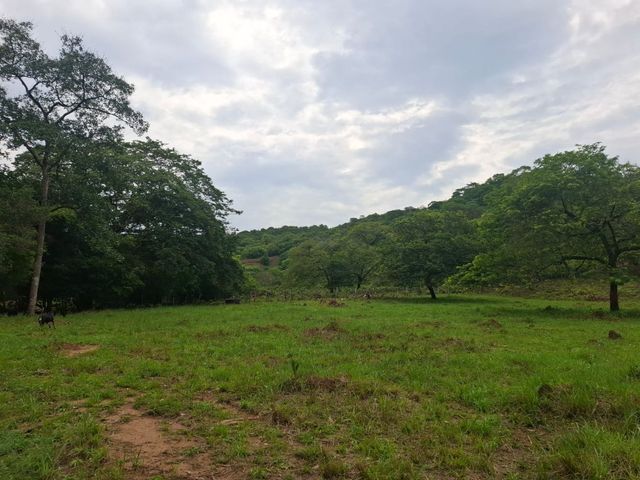 place photo 31