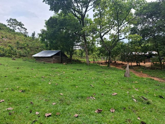 place photo 32