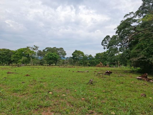place photo 41