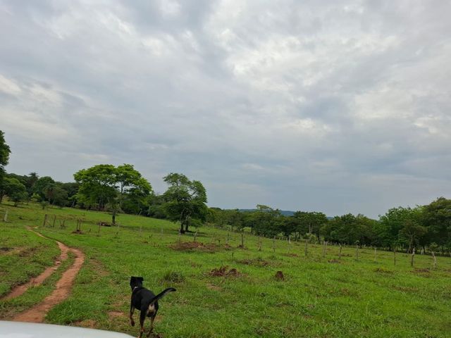 place photo 42