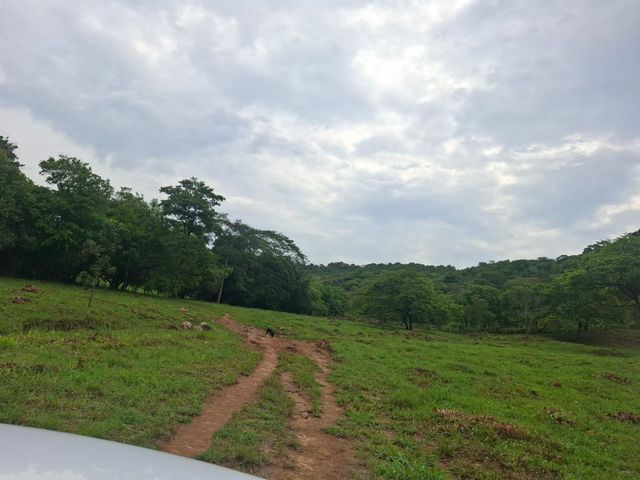 place photo 35