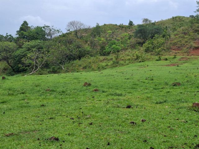 place photo 39