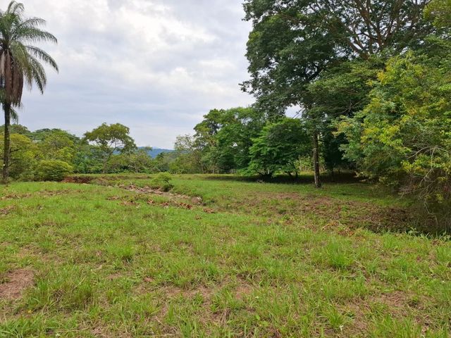 place photo 40