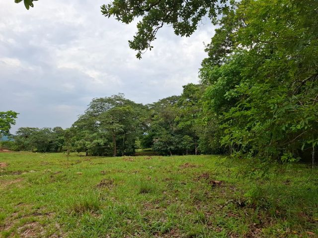 place photo 43