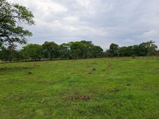 place photo 44