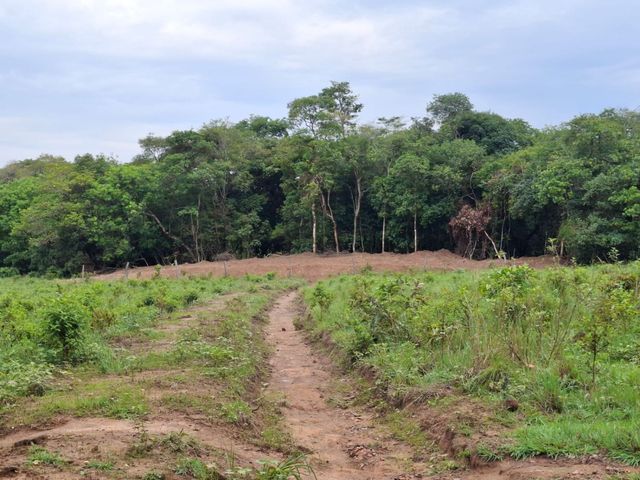 place photo 45