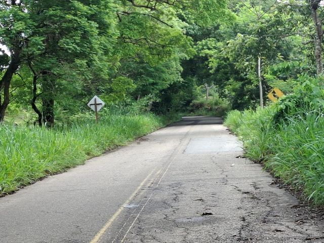 place photo 49