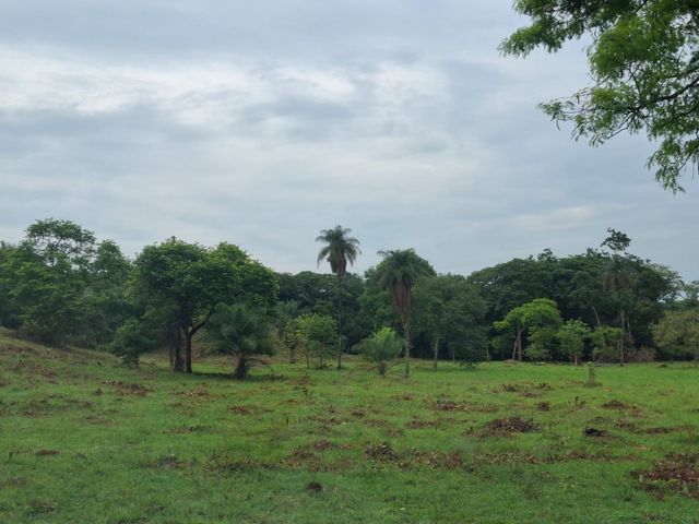 place photo 47