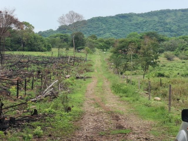 place photo 48