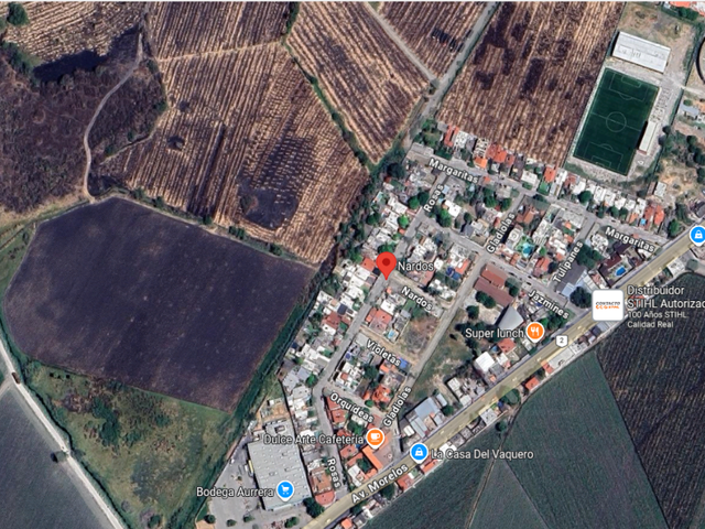 place photo 11